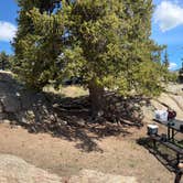 Review photo of Rocky Ridge Camground — Eleven Mile State Park by Bruce K., May 19, 2025