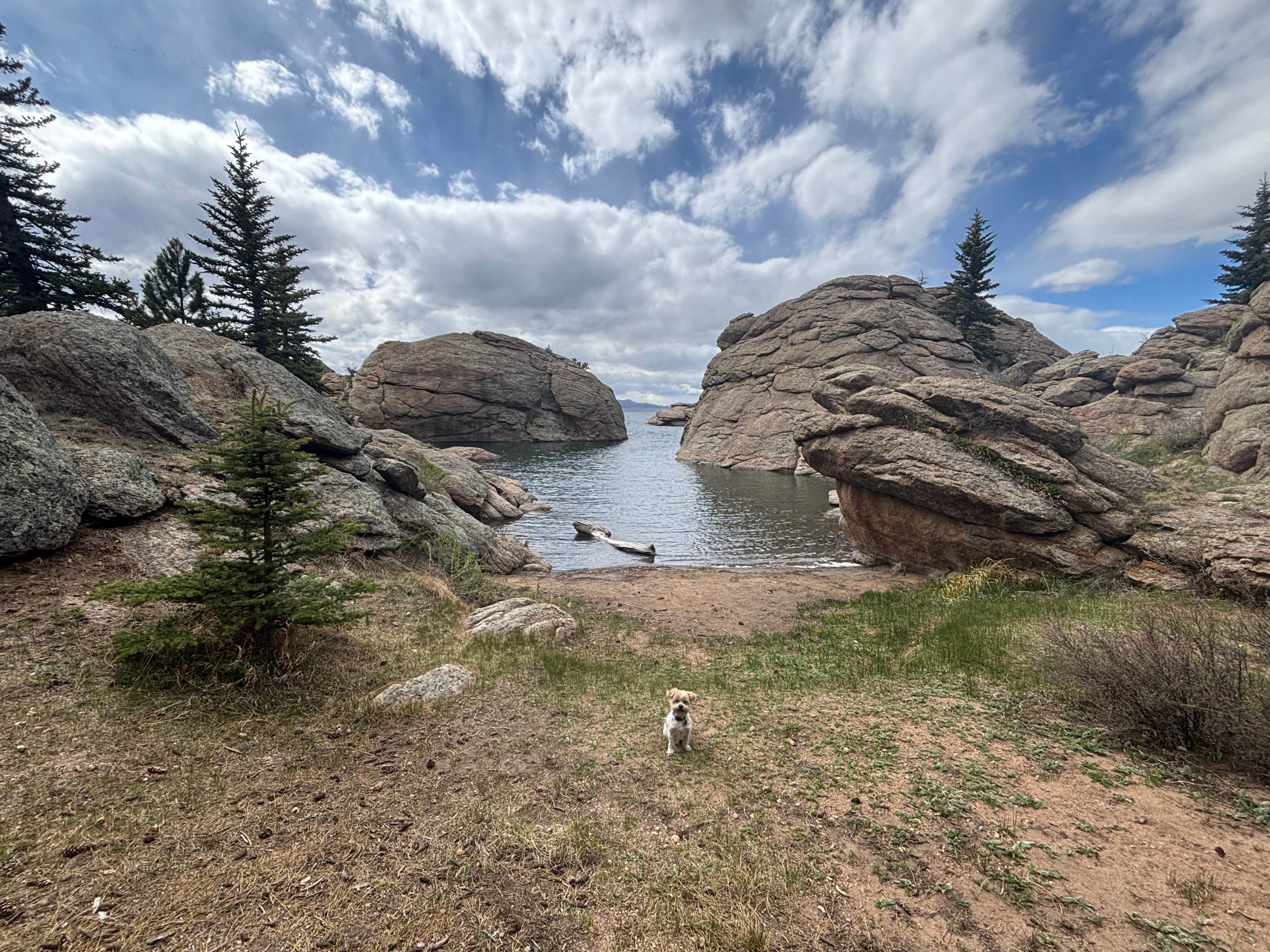 Bruce K.'s photo of camping with pets at Rocky Ridge Camground — Eleven Mile State Park near Pike and San Isabel National Forests and Cimarron and Comanche National Grasslands