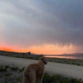 Review photo of Lazy Boy Campground — Eleven Mile State Park by Larissa F., July 5, 2026