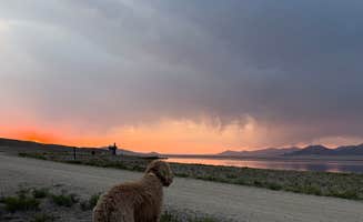 Larissa F.'s photo of camping with pets at Lazy Boy Campground — Eleven Mile State Park near Pike and San Isabel National Forests and Cimarron and Comanche National Grasslands
