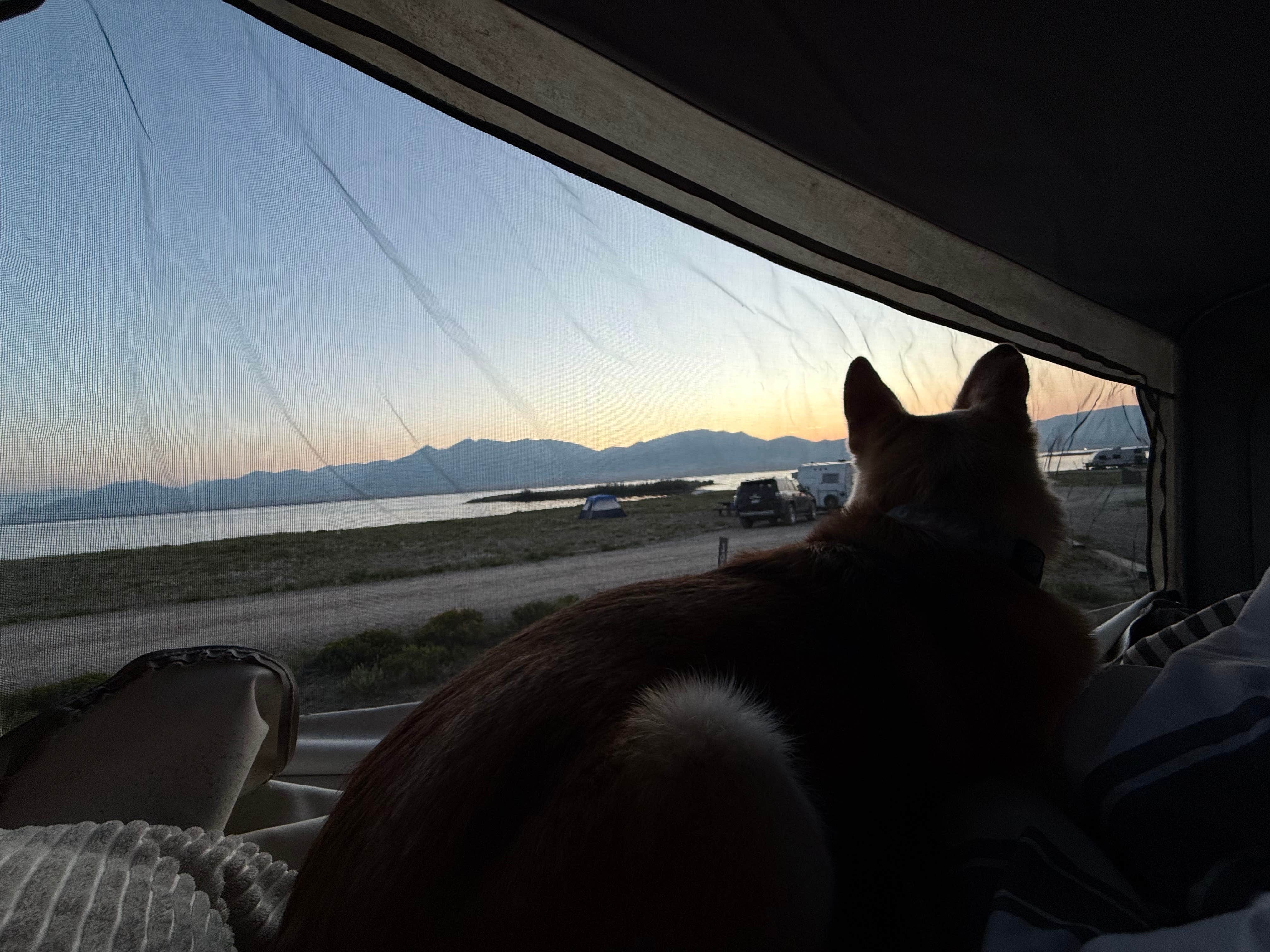 Camper-submitted photo at Lazy Boy Campground — Eleven Mile State Park near Pike and San Isabel National Forests and Cimarron and Comanche National Grasslands