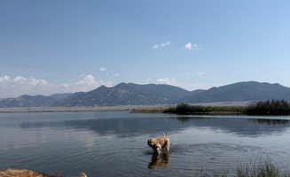 Larissa F.'s photo of camping with pets at Lazy Boy Campground — Eleven Mile State Park near Pike and San Isabel National Forests and Cimarron and Comanche National Grasslands