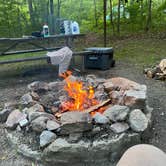 Review photo of Elizabeth Furnace Family Campground by QSquared2 , June 9, 2024