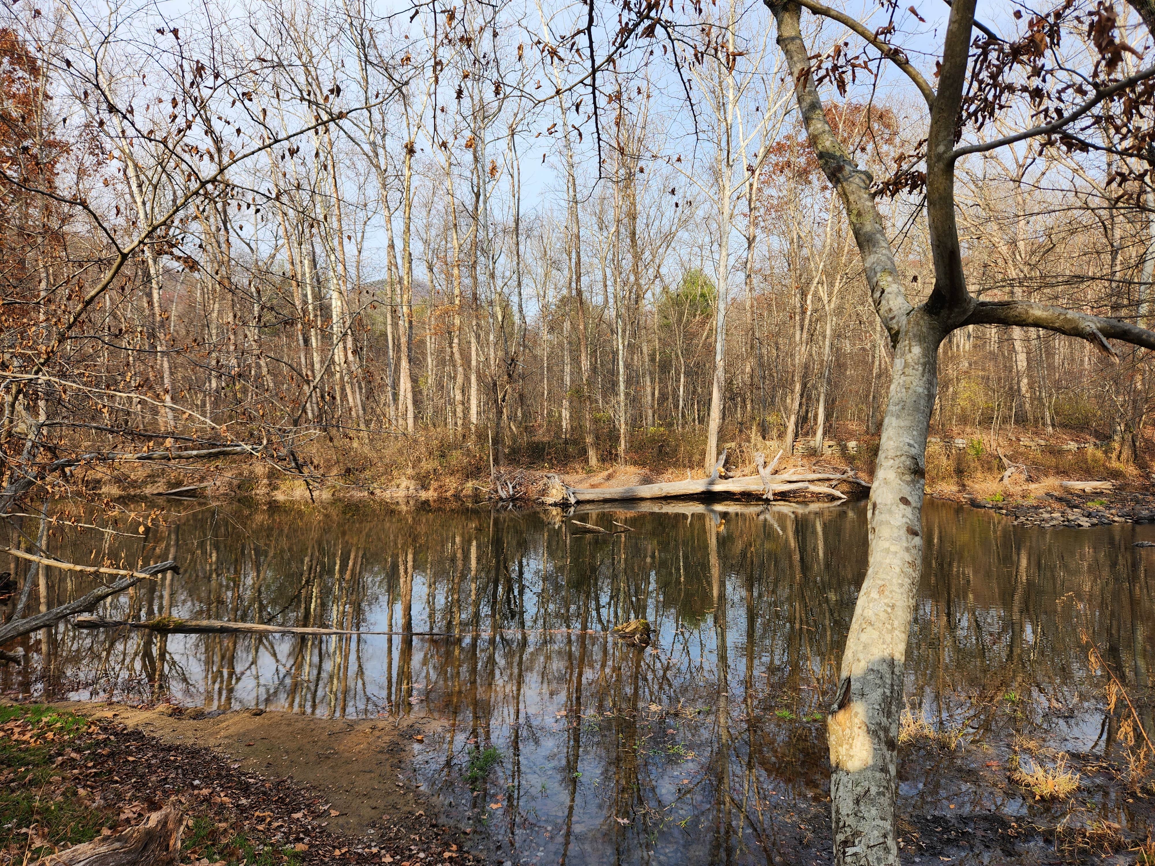 Camper submitted image from Elizabeth Furnace Group Camp — George Washington & Jefferson National Forest - 2