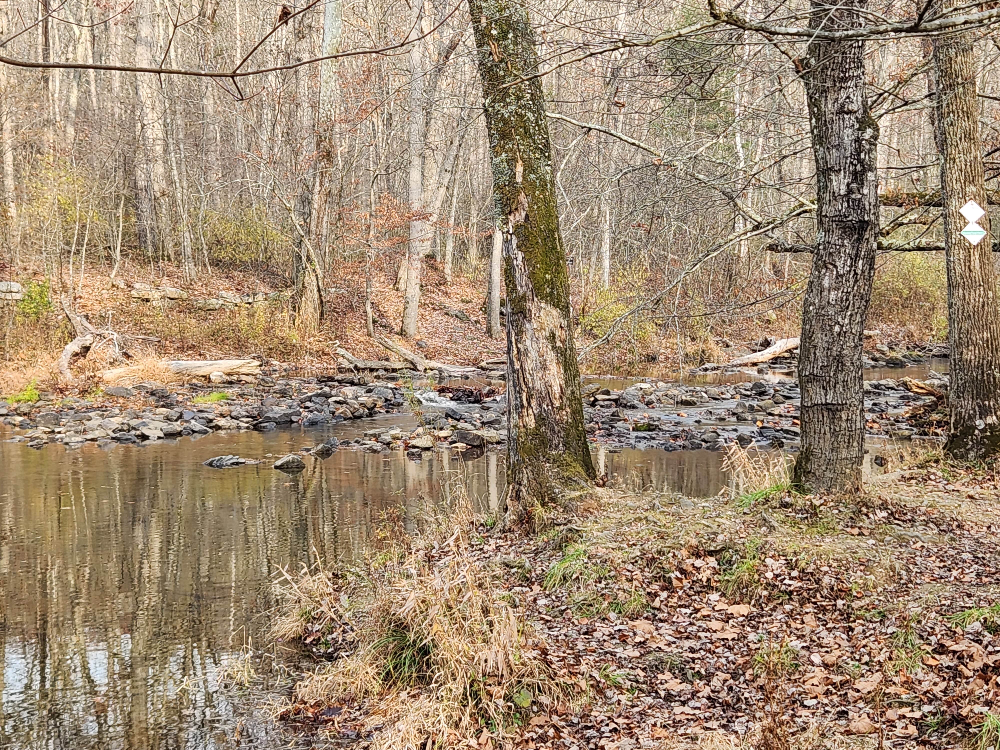 Camper submitted image from Elizabeth Furnace Group Camp — George Washington & Jefferson National Forest - 3