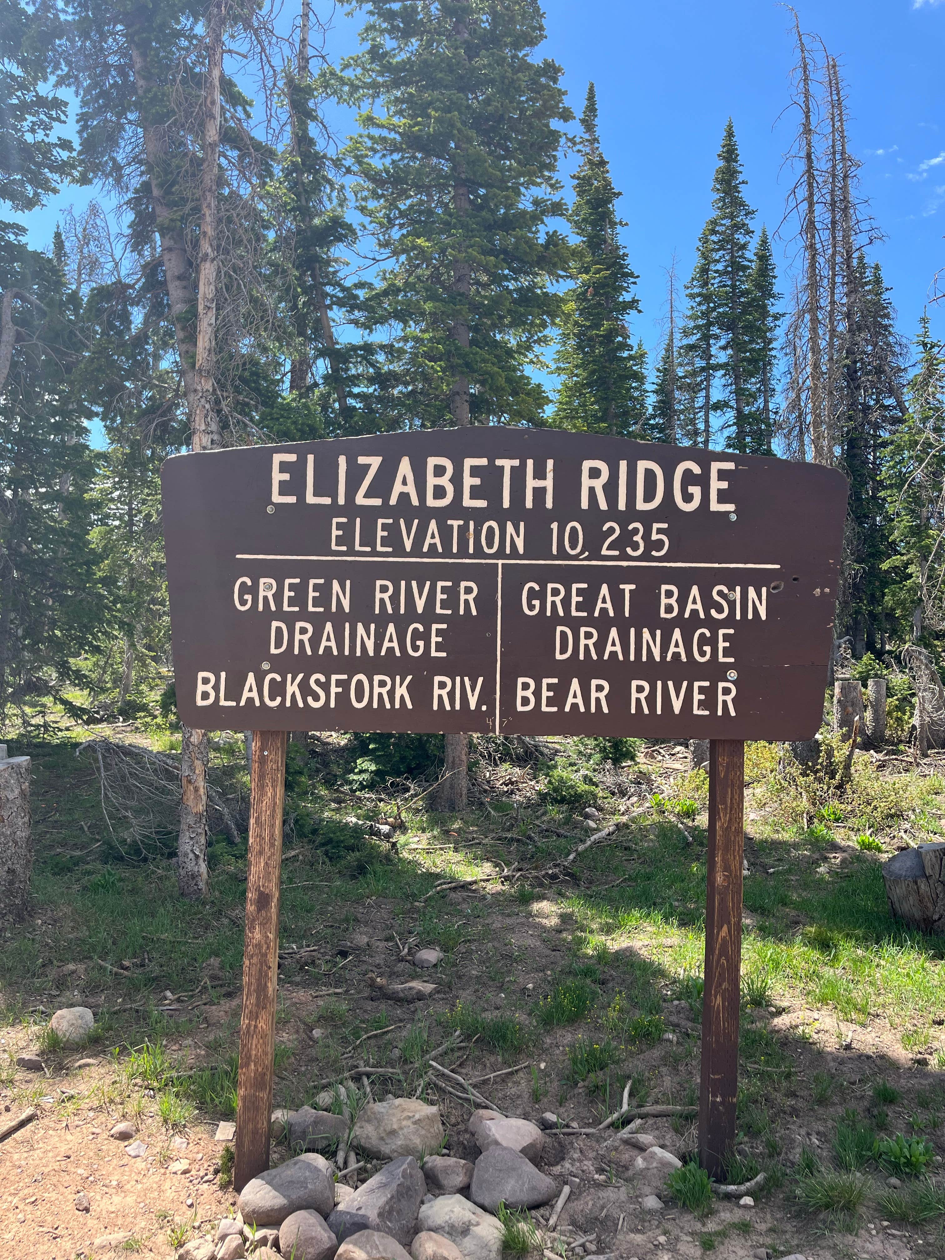 Camper-submitted photo at Elizabeth Ridge Dispersed near Lonetree, WY