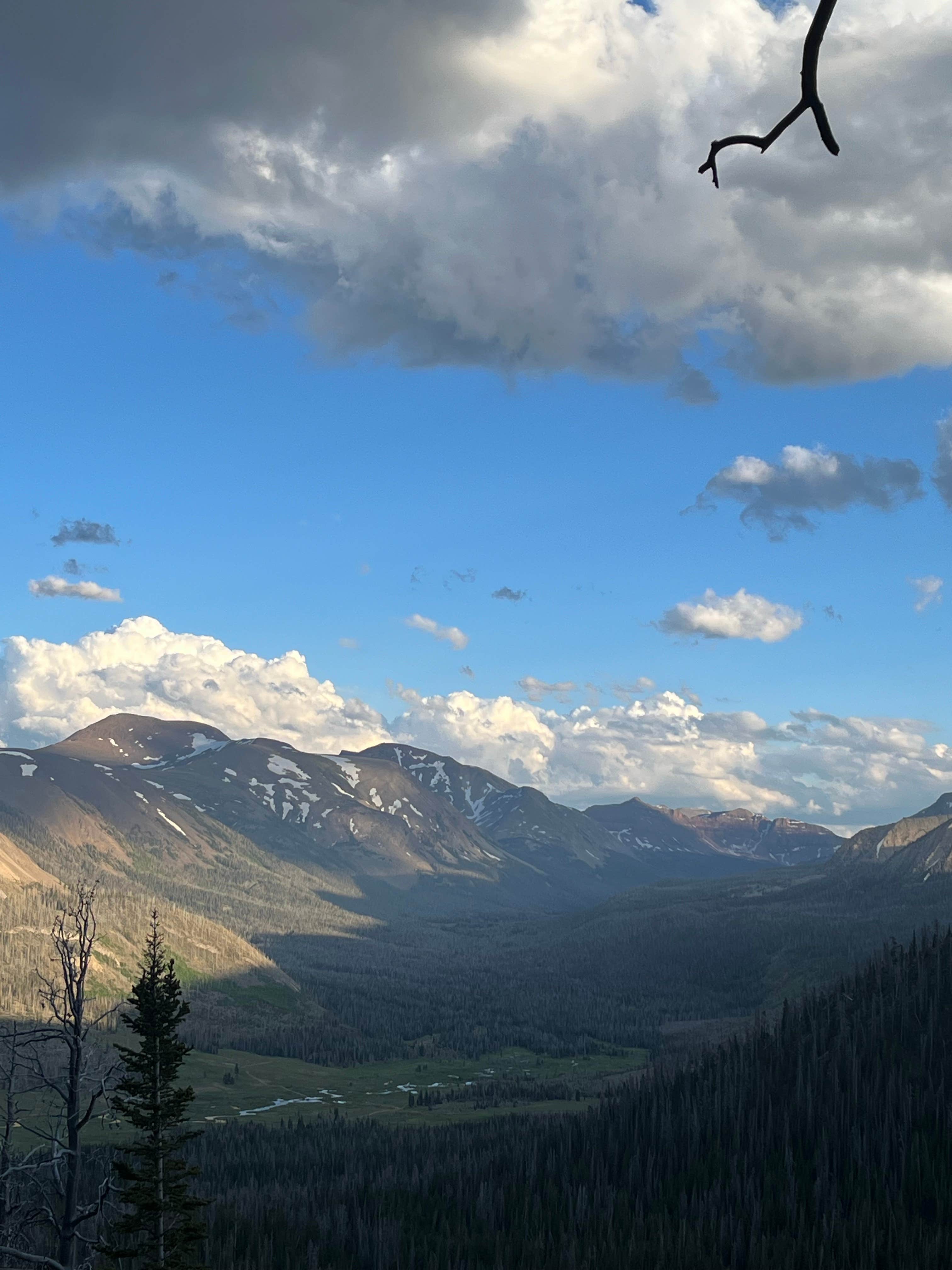 Camper-submitted photo at Elizabeth Ridge Dispersed near Lonetree, WY