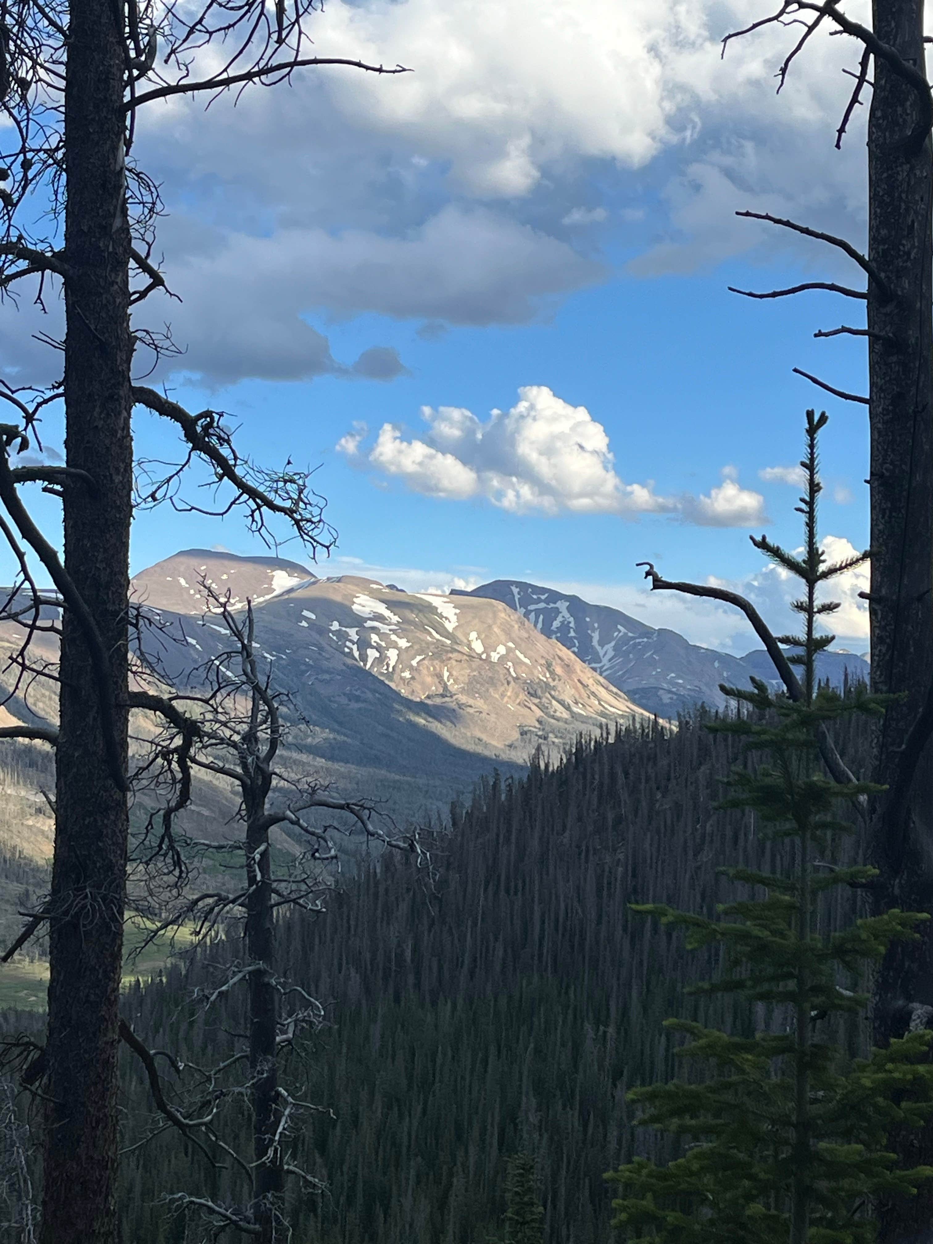Camper-submitted photo at Elizabeth Ridge Dispersed near Lonetree, WY