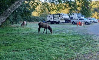 Marty P.'s photo of camping with a horse at Elk Country RV Resort & Campground in California