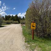 Review photo of Elk Creek Campground & RV Park by Kim G., May 16, 2026