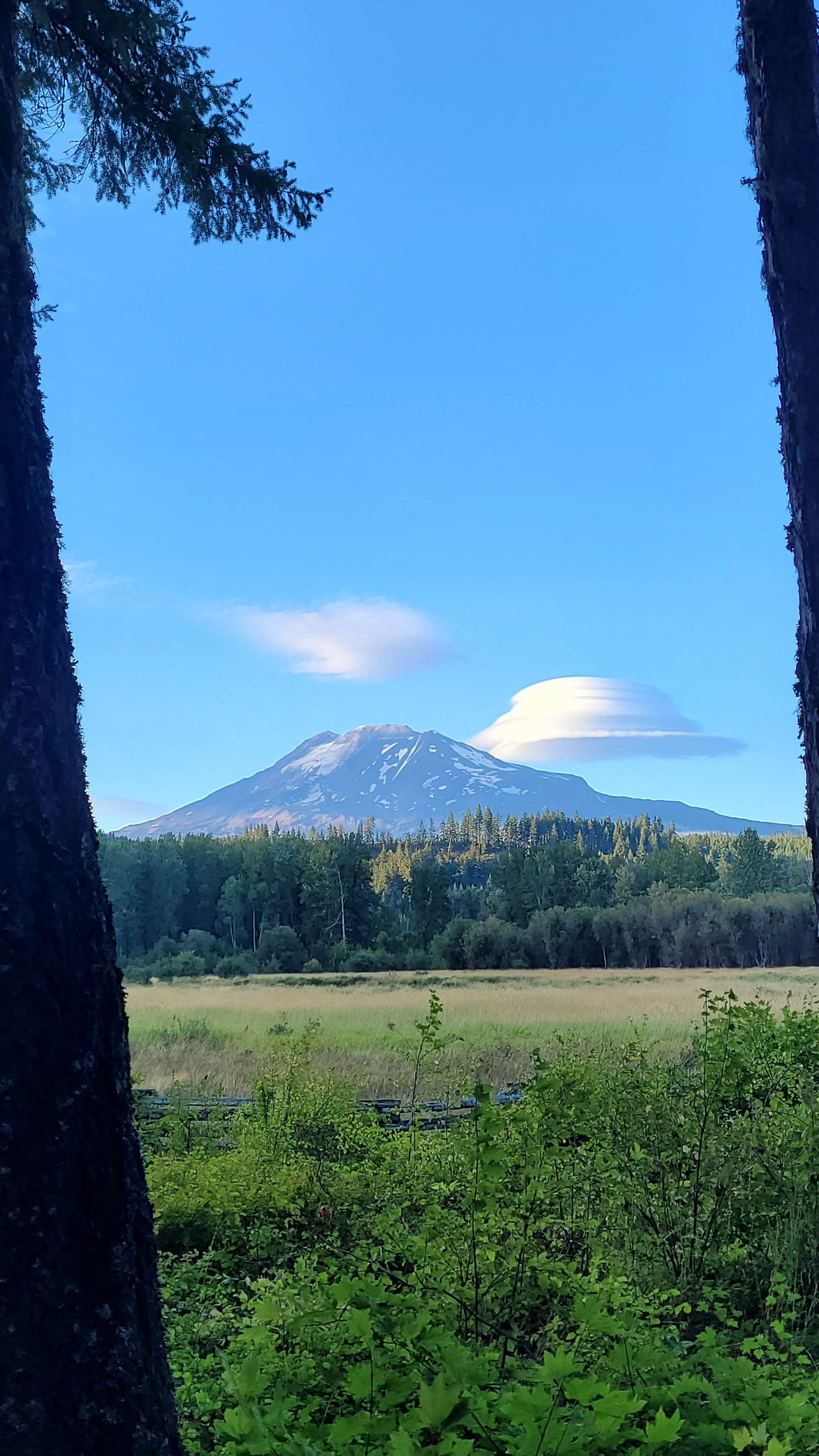 Camper-submitted photo at Elk Meadows RV Park near Wishram, WA