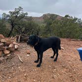 Review photo of Elk Mountain Road by Chad S., September 19, 2026