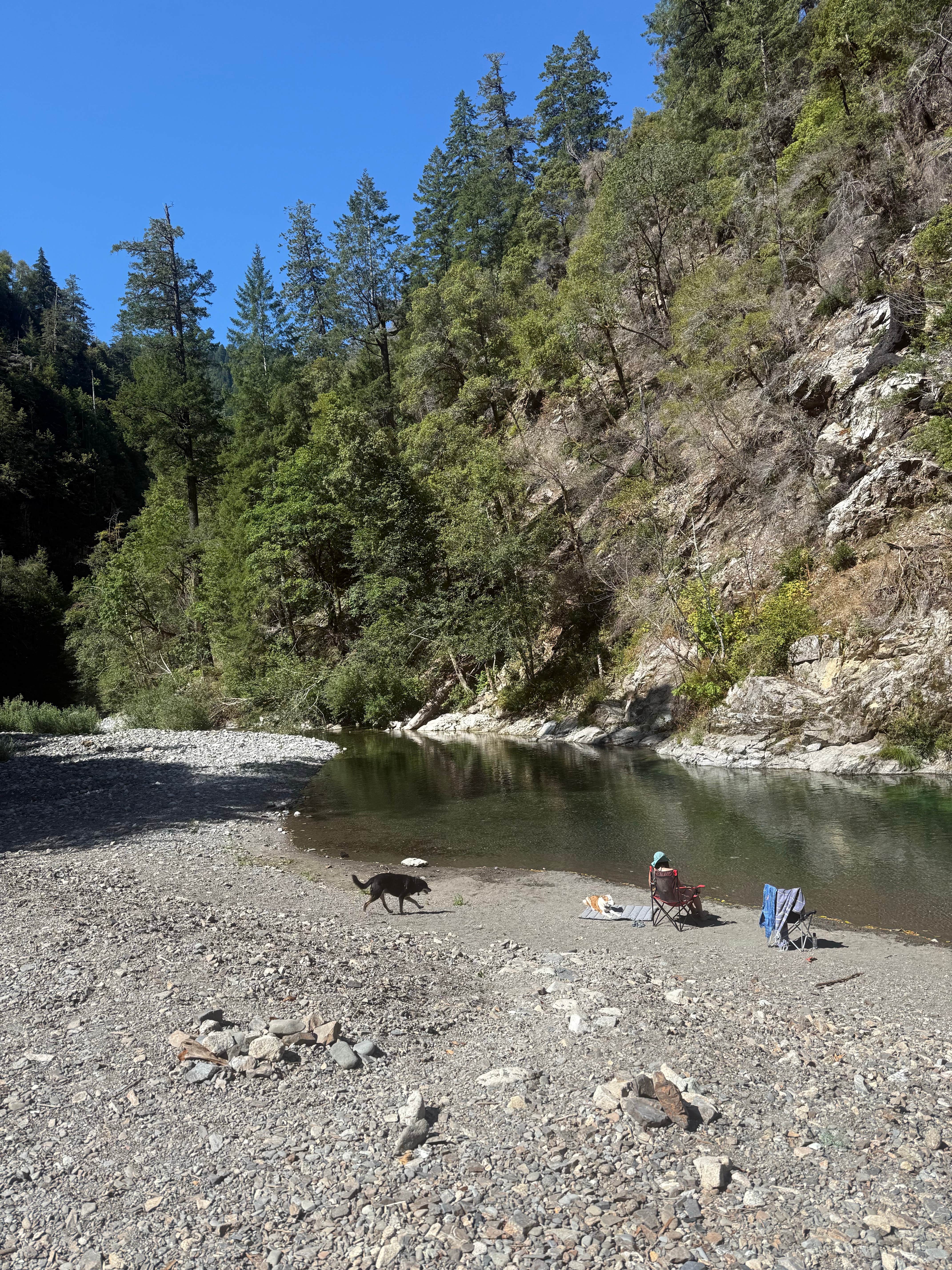 Camper-submitted photo at Elk River "Stony Beach" Dispersed Camping near Port Orford, OR