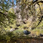 Review photo of Elk River "Stony Beach" Dispersed Camping by Kylee R., September 30, 2026