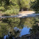 Review photo of Elk River "Stony Beach" Dispersed Camping by Noel C., August 22, 2025