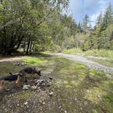 Review photo of Elk River "Stony Beach" Dispersed Camping by Bradley B., April 2, 2026