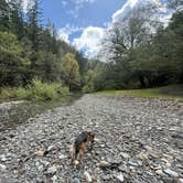Review photo of Elk River "Stony Beach" Dispersed Camping by Bradley B., April 2, 2026