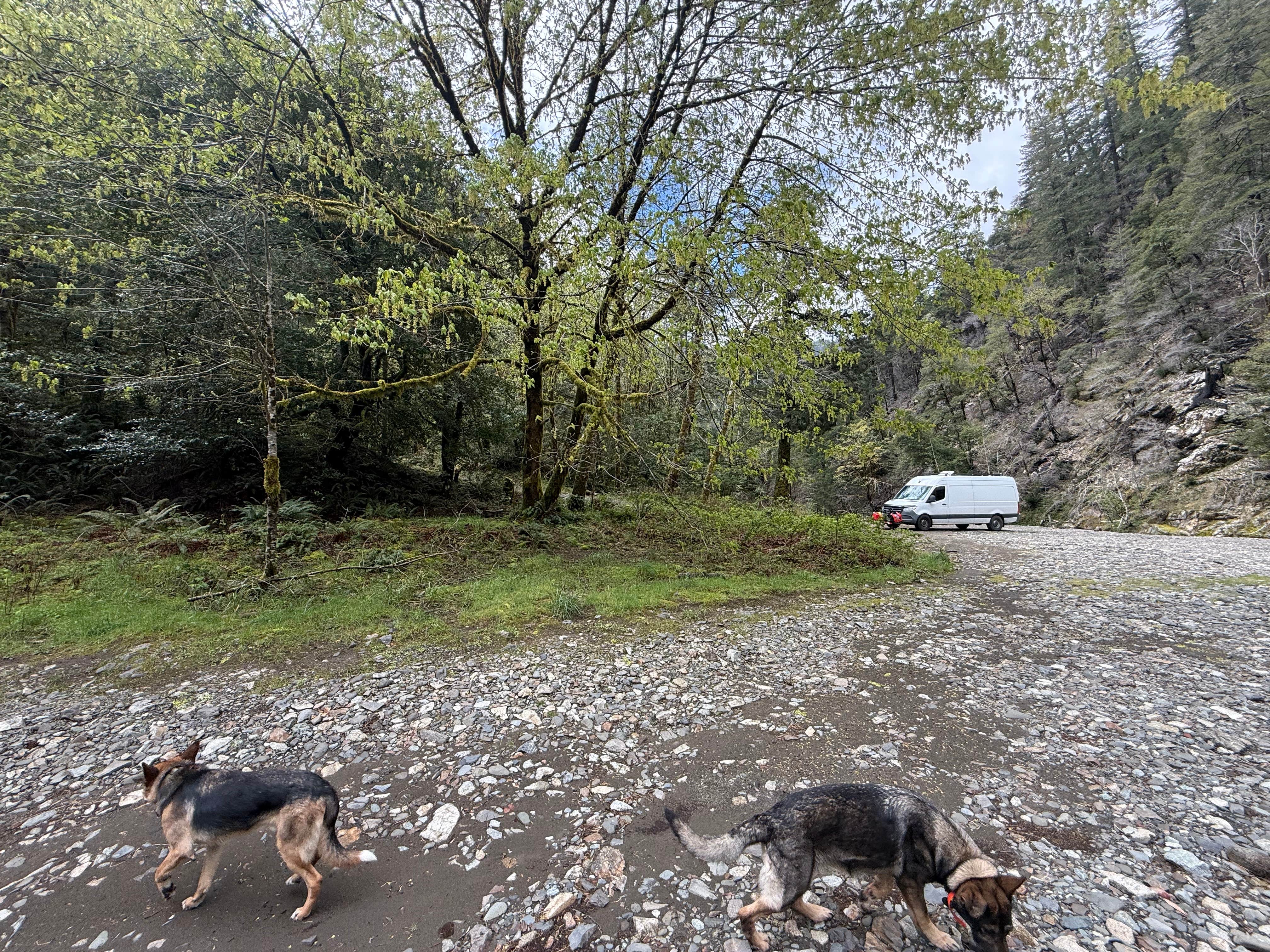 Camper-submitted photo at Elk River "Stony Beach" Dispersed Camping near North Bend, OR