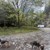 Review photo of Elk River "Stony Beach" Dispersed Camping by Bradley B., April 2, 2026