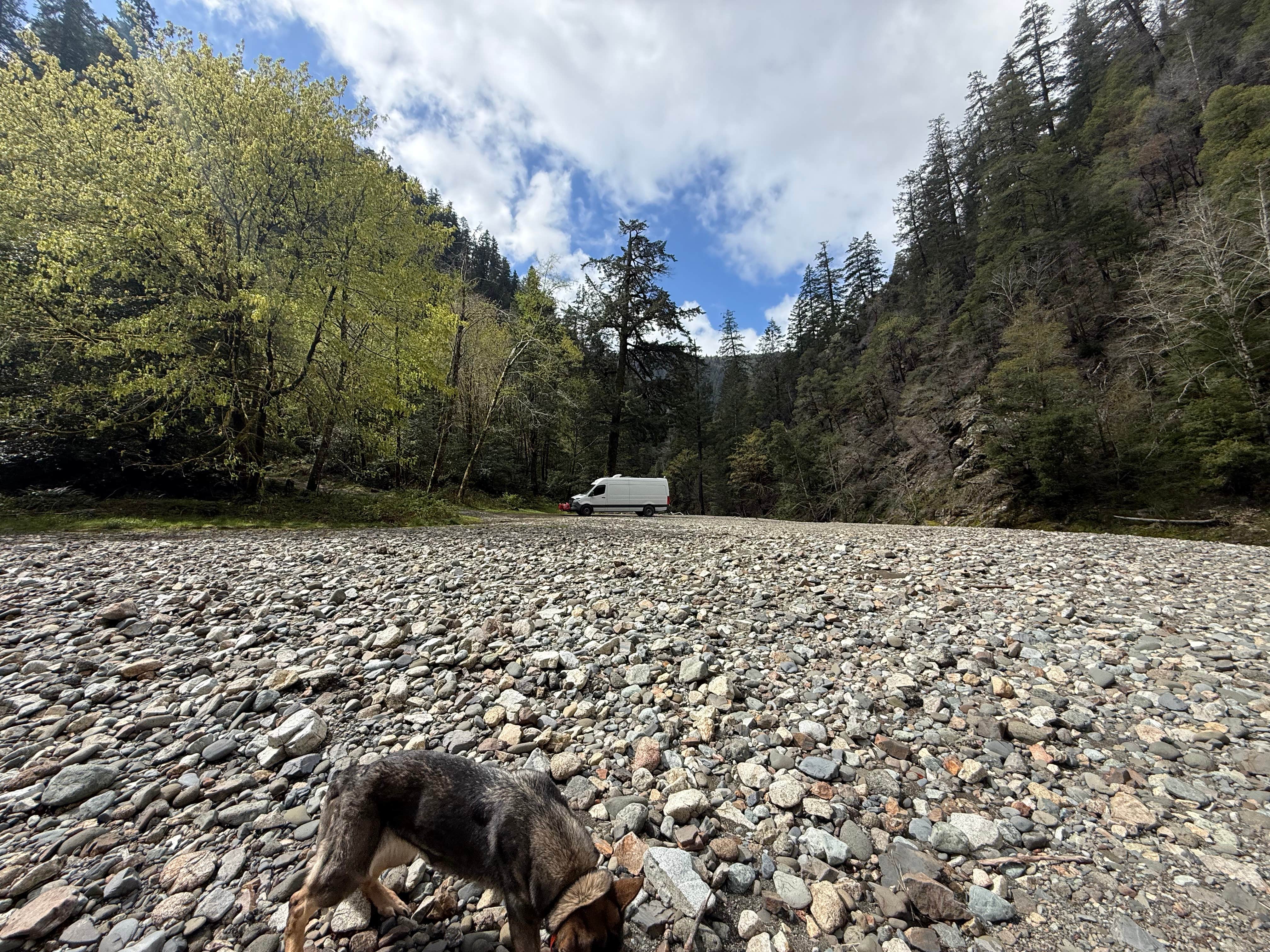 Camper-submitted photo at Elk River "Stony Beach" Dispersed Camping near North Bend, OR