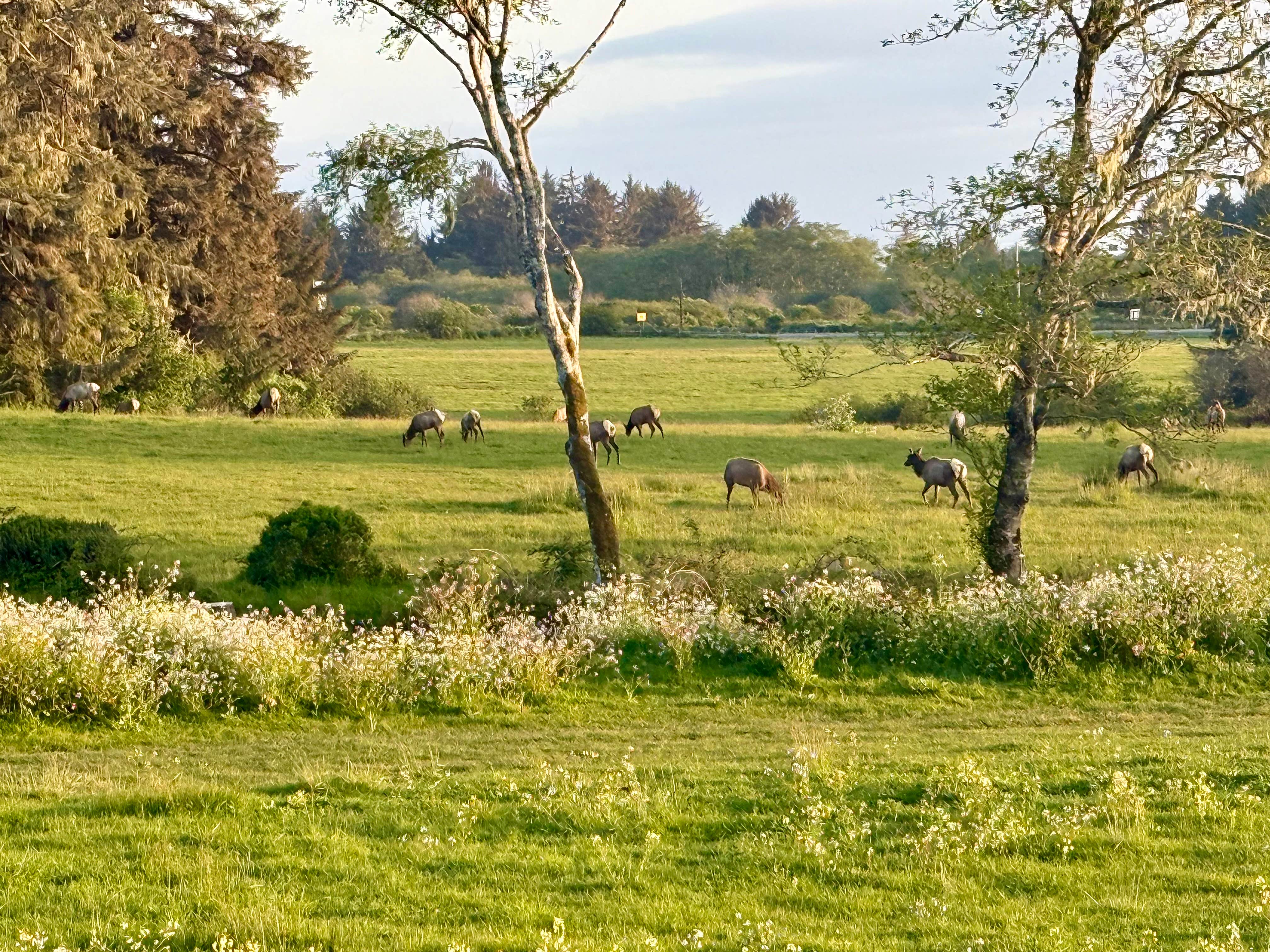 Camping near Redwood Meadows RV Resort: Elk Valley Casino, Crescent City, California