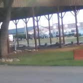 Review photo of Elkhart Campground by Lea K., June 14, 2026