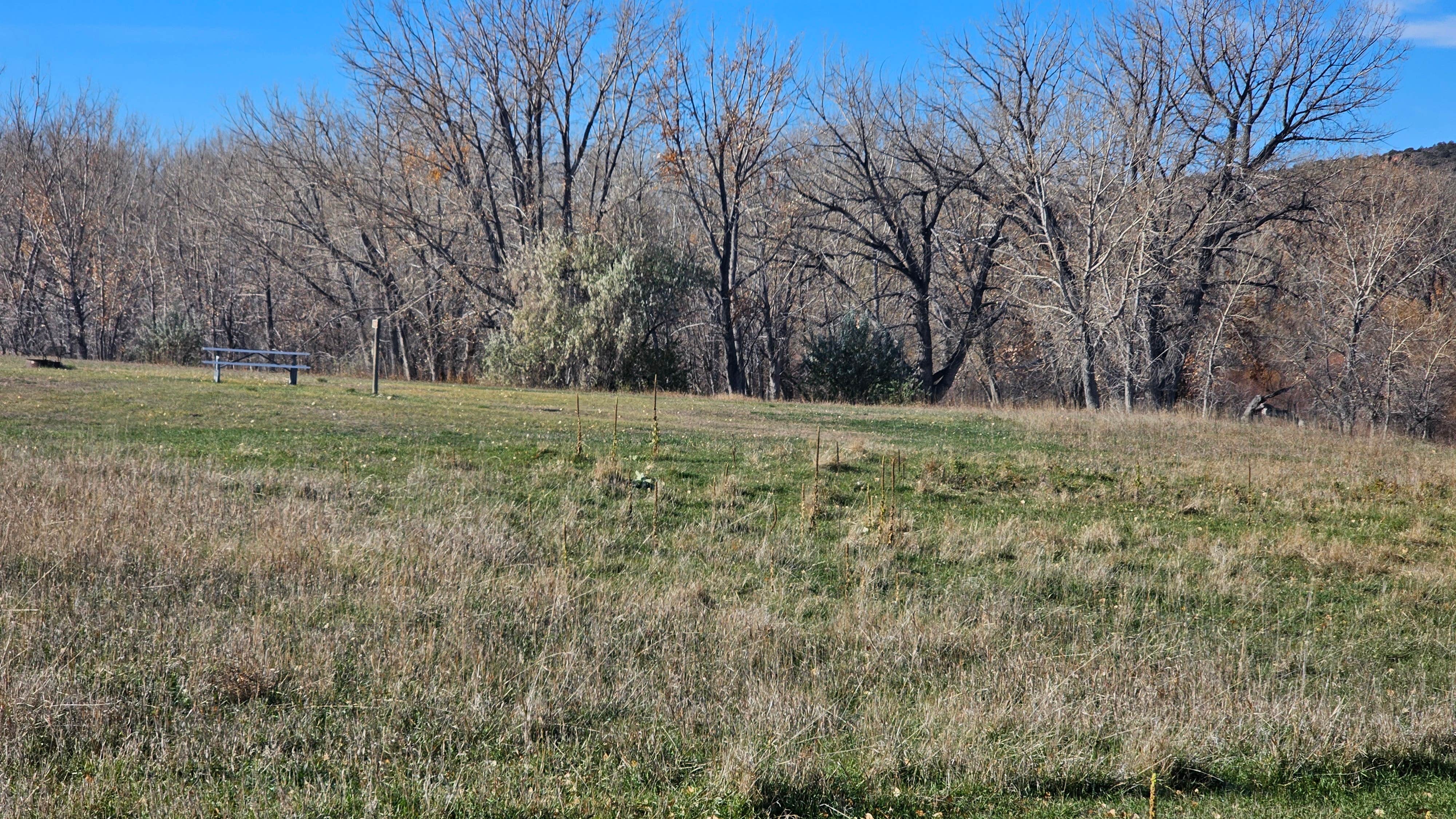 Camper-submitted photo at Elkhorn Campground — Glendo State Park near Glendo, WY