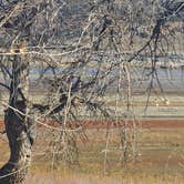 Review photo of Elkhorn Campground — Glendo State Park by johny R., October 29, 2025