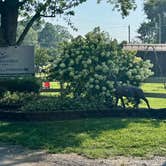 Review photo of Elkhorn Creek RV Park by Amanda W., August 1, 2025