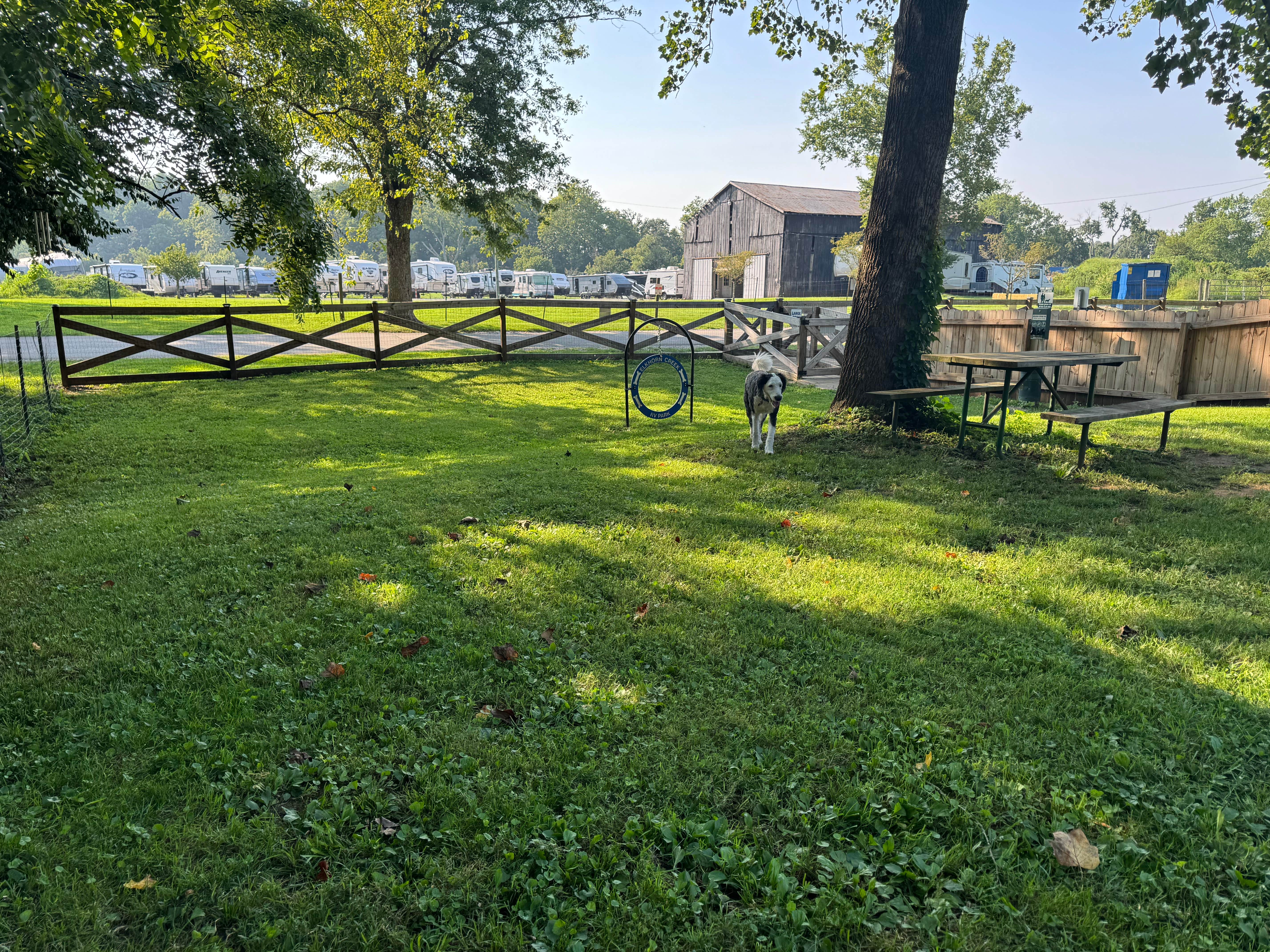 Amanda W.'s photo of camping with pets at Elkhorn Creek RV Park near Georgetown, KY