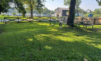 Amanda W.'s photo of camping with pets at Elkhorn Creek RV Park near Lexington, KY
