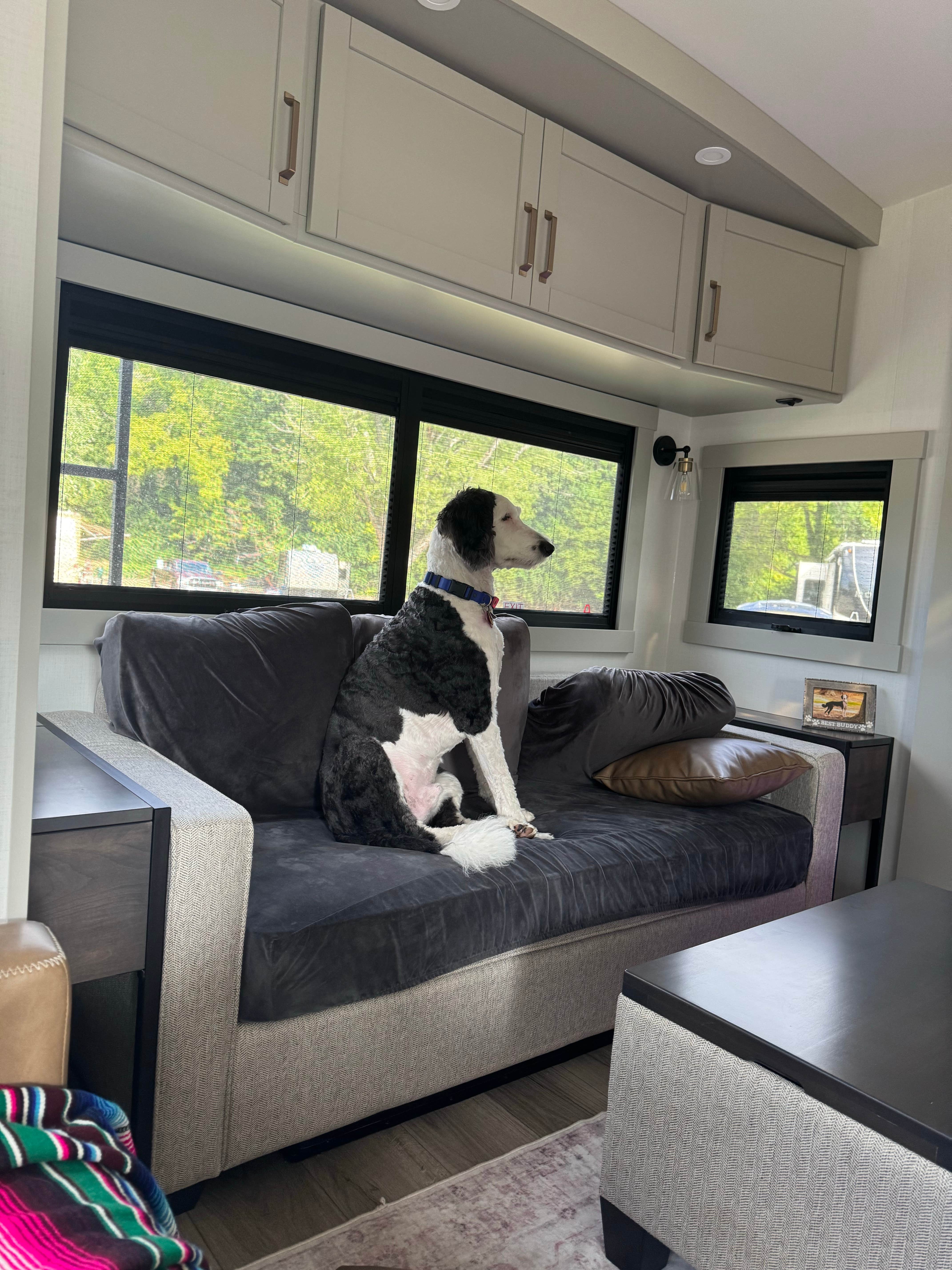 Amanda W.'s photo of camping with pets at Elkhorn Creek RV Park near Georgetown, KY