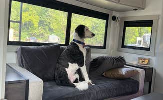 Amanda W.'s photo of camping with pets at Elkhorn Creek RV Park near Lexington, KY