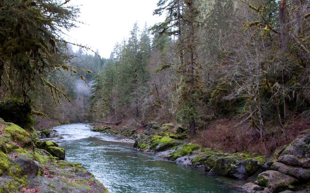 Camping near Wiley Flat: Elkhorn, Central Oregon, Oregon
