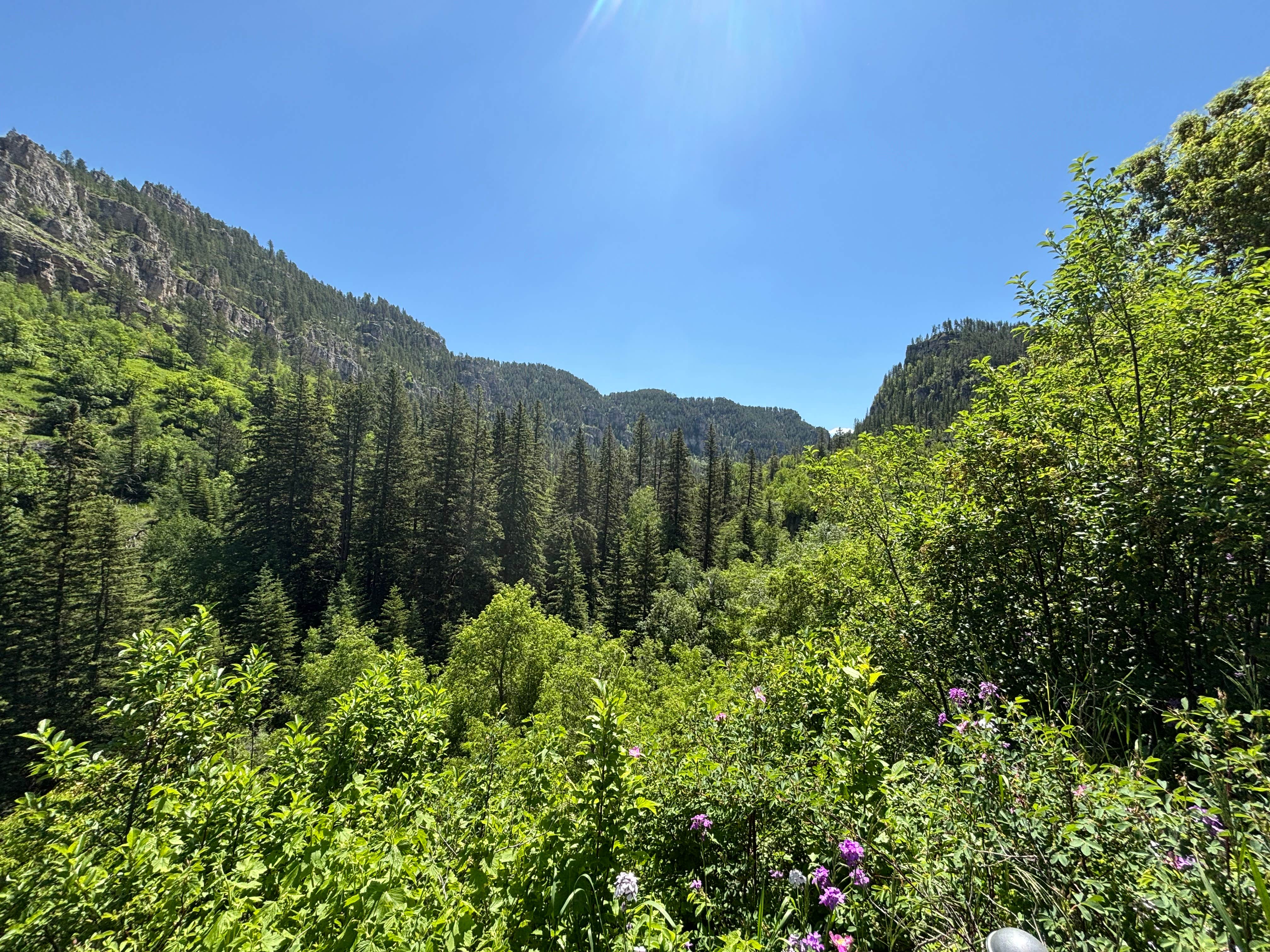 Camper-submitted photo at Elkhorn Ridge RV Resort & Cabins near Devils Tower National Monument