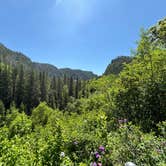 Review photo of Elkhorn Ridge RV Resort & Cabins by Bob R., June 20, 2025