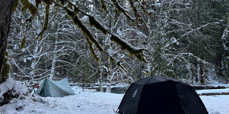 Camper submitted image from Elkhorn Campground