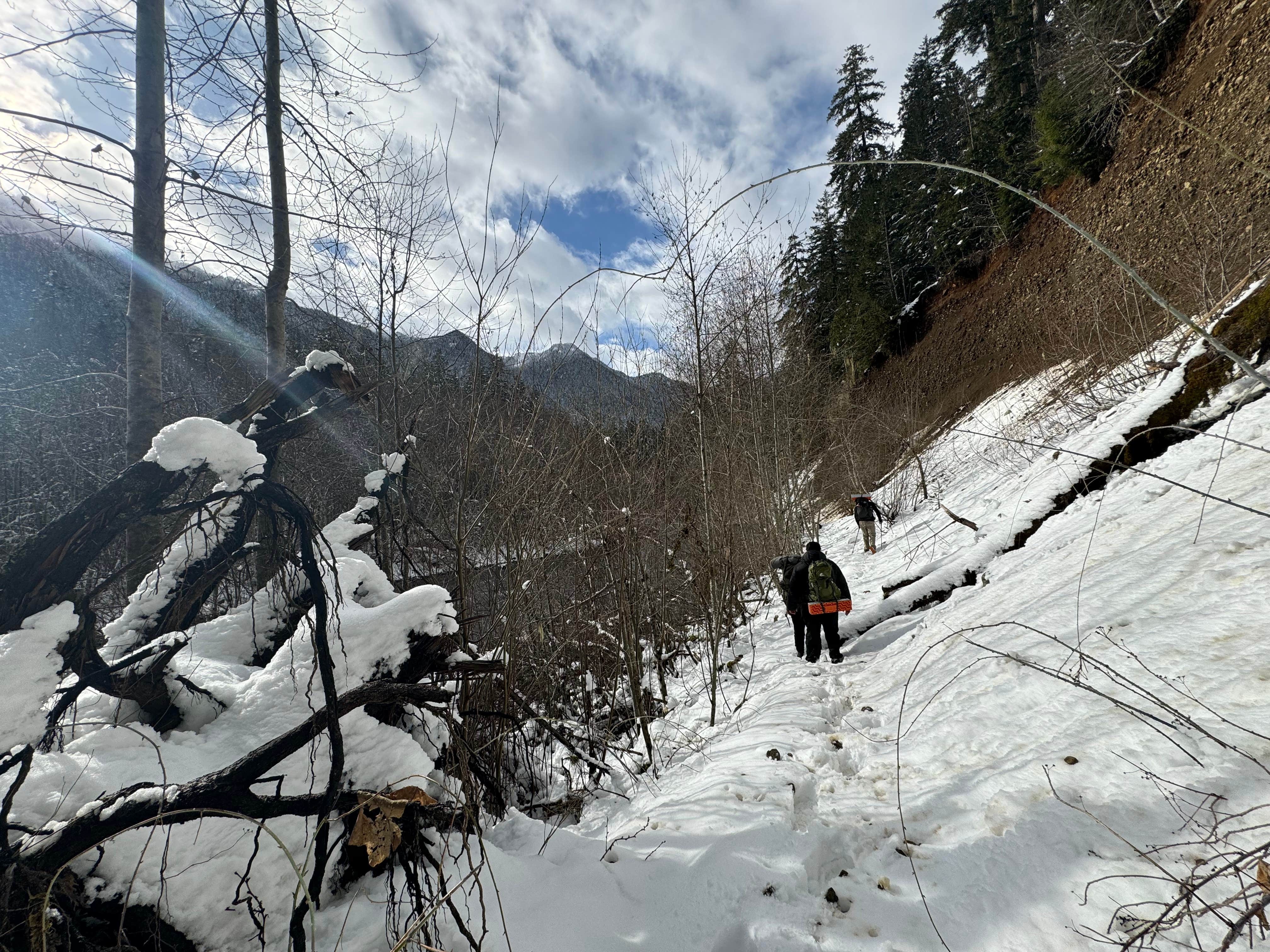 Camper-submitted photo at Elkhorn Campground near Brinnon, WA