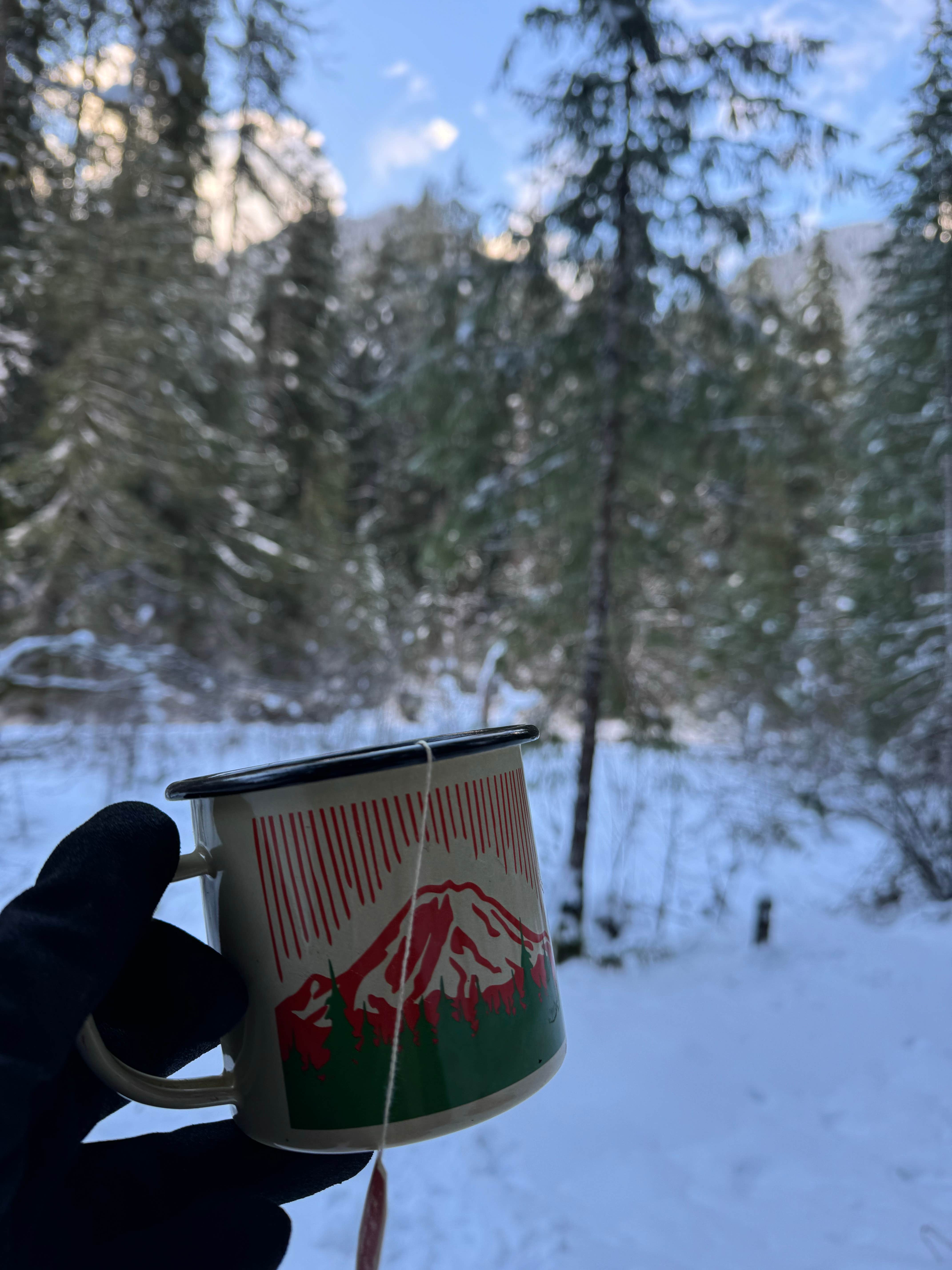 Camper-submitted photo at Elkhorn Campground near Brinnon, WA