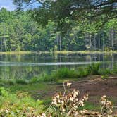 Review photo of Port Jervis Elks Brox  Hiker/Biker Campground by Gregg T., August 26, 2024