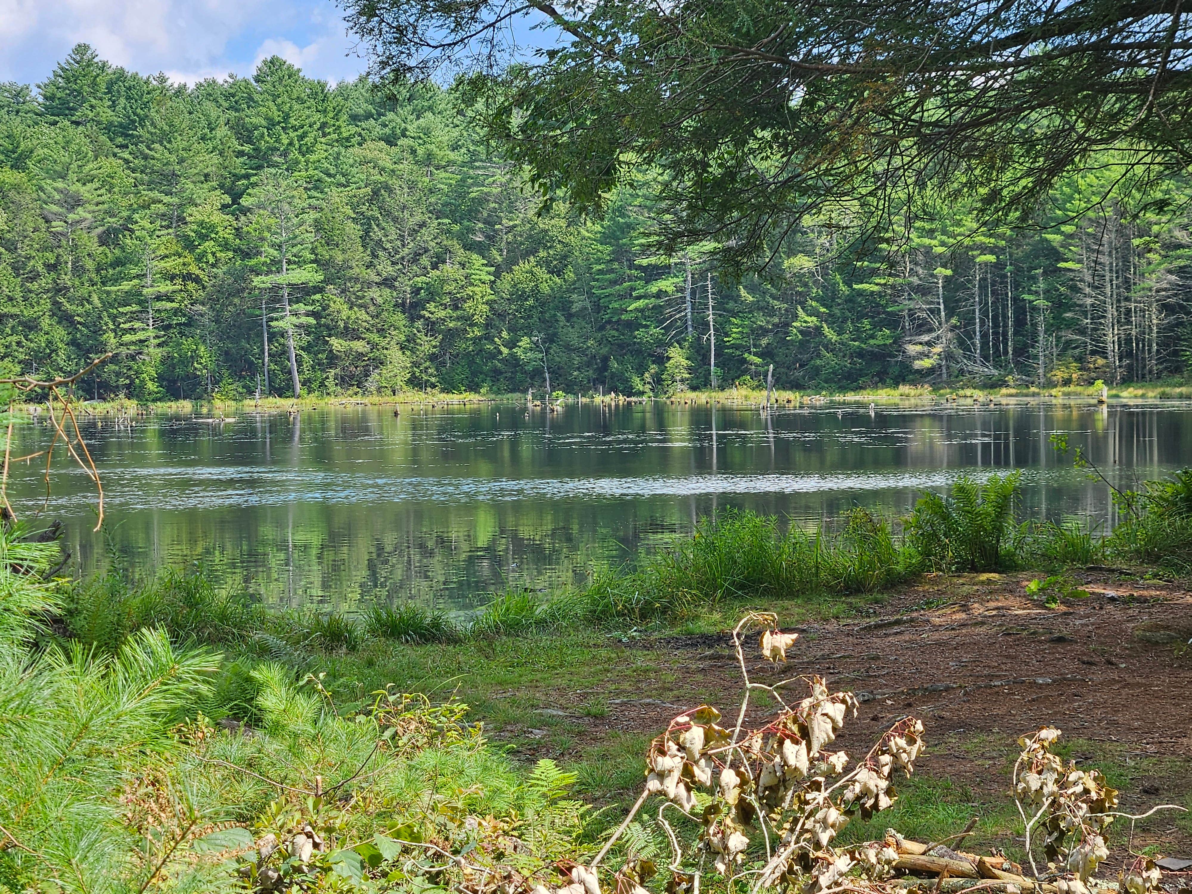 Camper submitted image from Port Jervis Elks Brox Hiker/Biker Campground - 3
