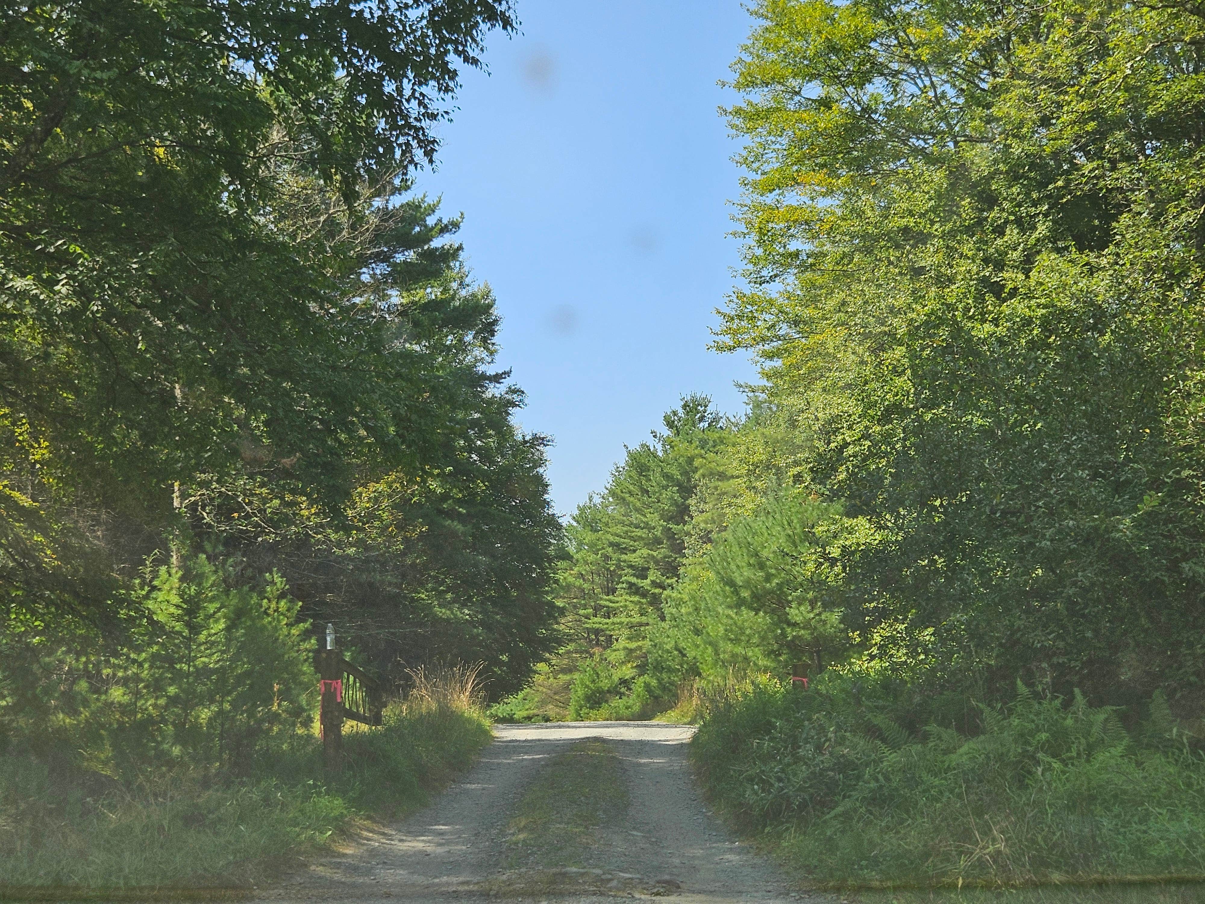 Camper submitted image from Port Jervis Elks Brox  Hiker/Biker Campground - 5