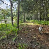 Review photo of Port Jervis Elks Brox  Hiker/Biker Campground by Gregg T., August 26, 2024