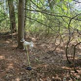 Review photo of Port Jervis Elks Brox  Hiker/Biker Campground by Gregg T., August 26, 2024