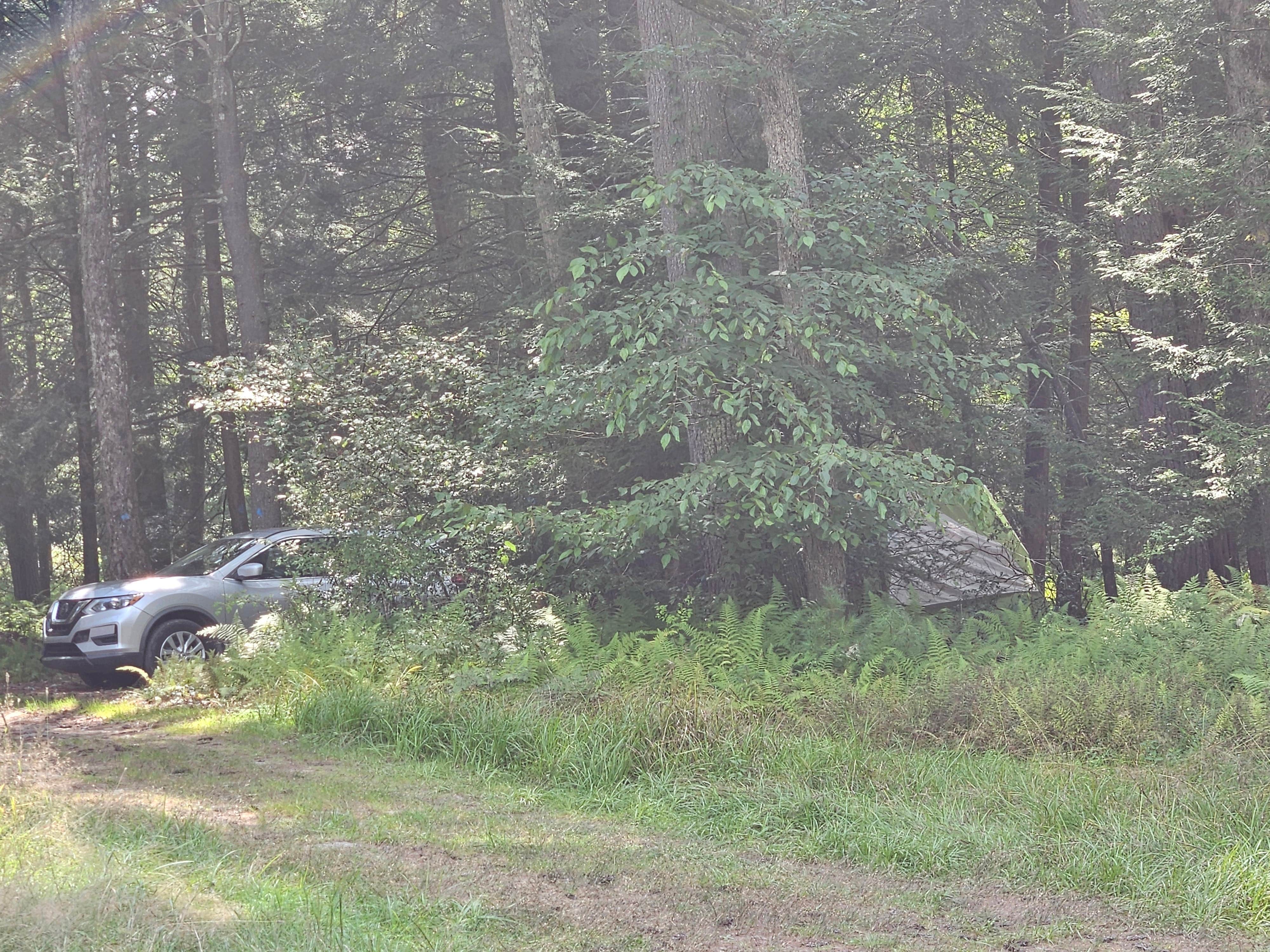 Camper submitted image from Port Jervis Elks Brox  Hiker/Biker Campground - 4