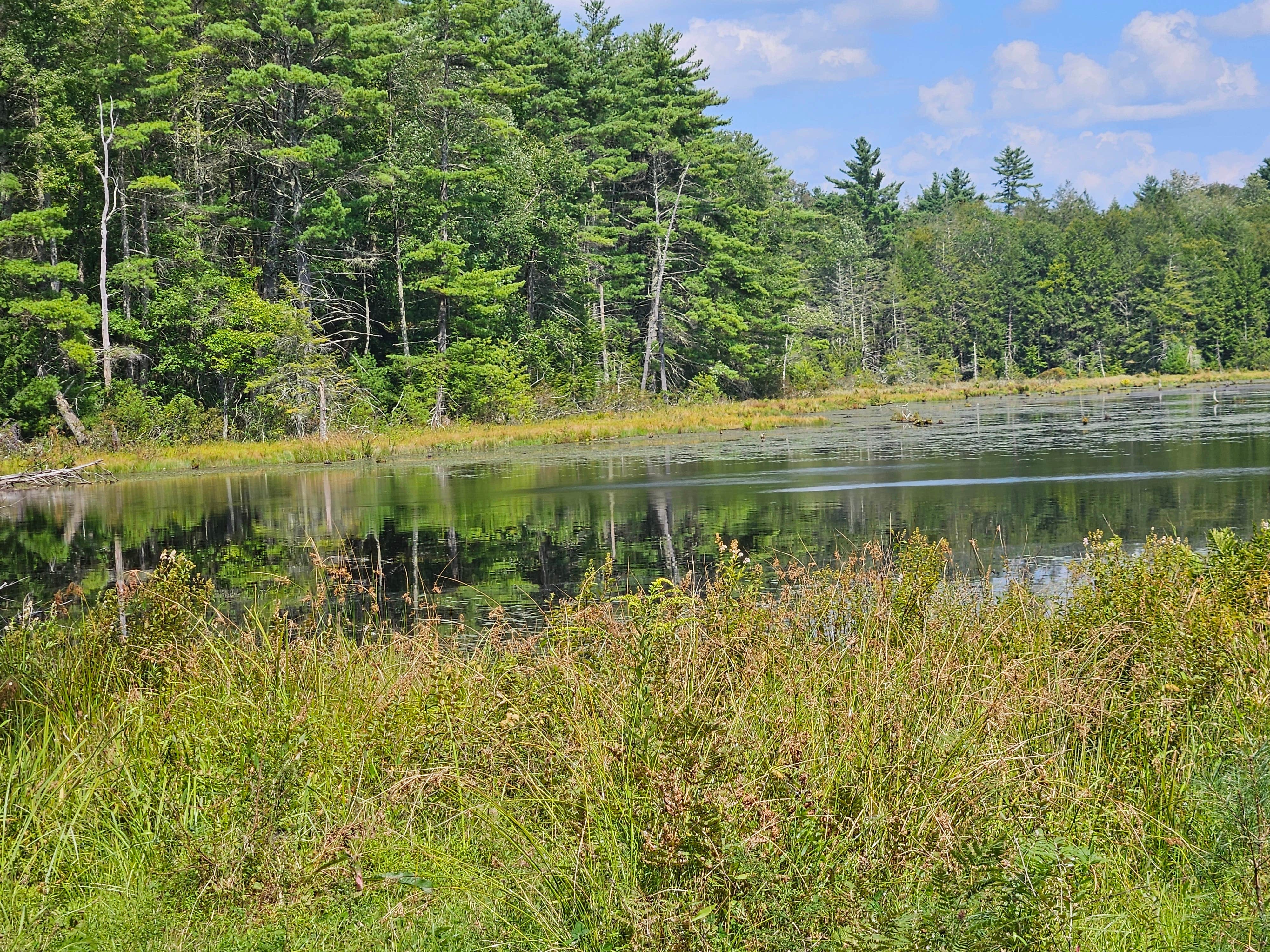 Camper submitted image from Port Jervis Elks Brox  Hiker/Biker Campground - 2