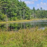 Review photo of Port Jervis Elks Brox  Hiker/Biker Campground by Gregg T., August 26, 2024