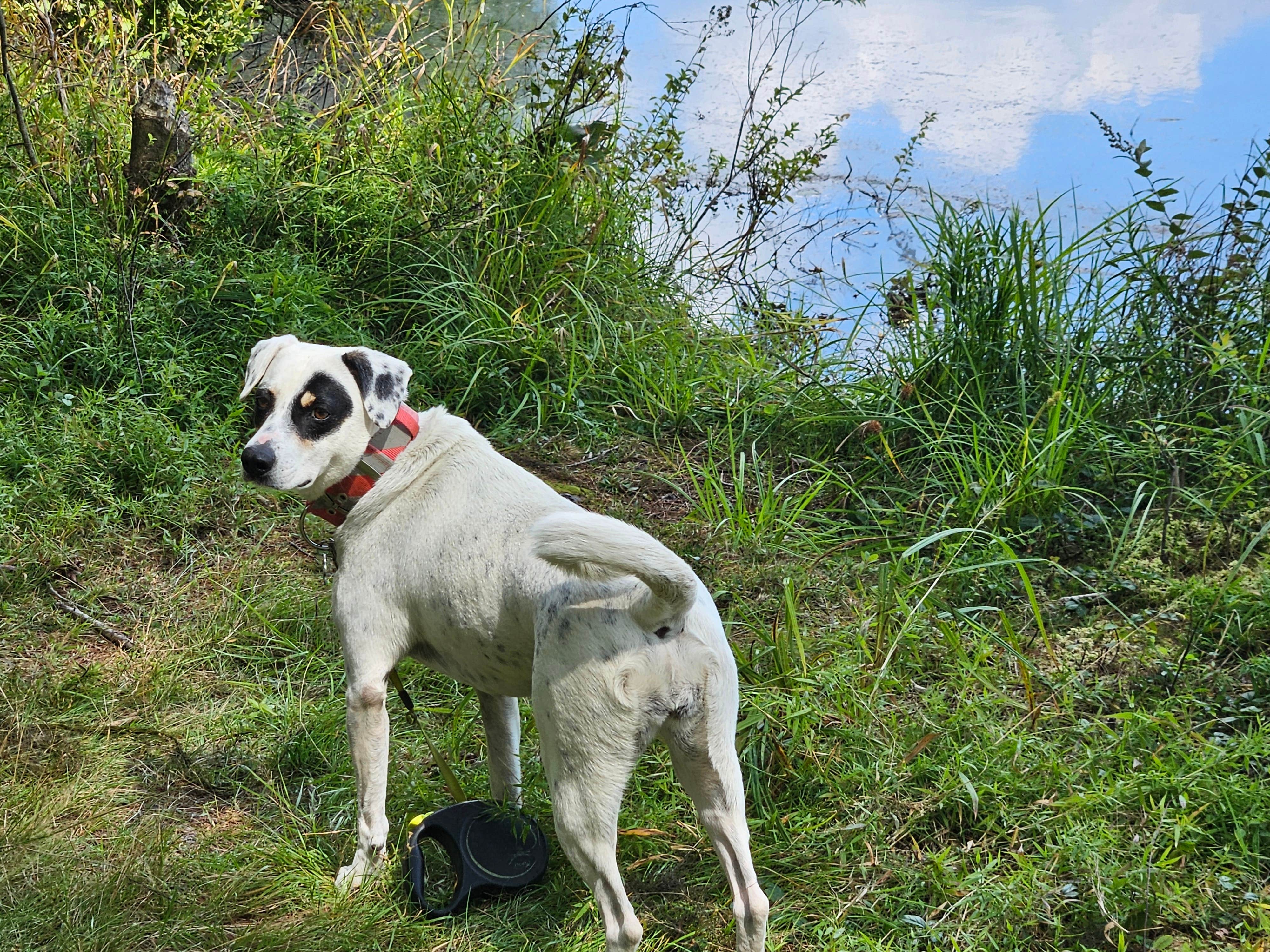 Camper-submitted photo at Port Jervis Elks Brox Hiker/Biker Campground near Wurtsboro, NY