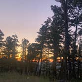 Review photo of Elliston Dispersed Camping on Forest Road 314 by Jenny P., July 17, 2025
