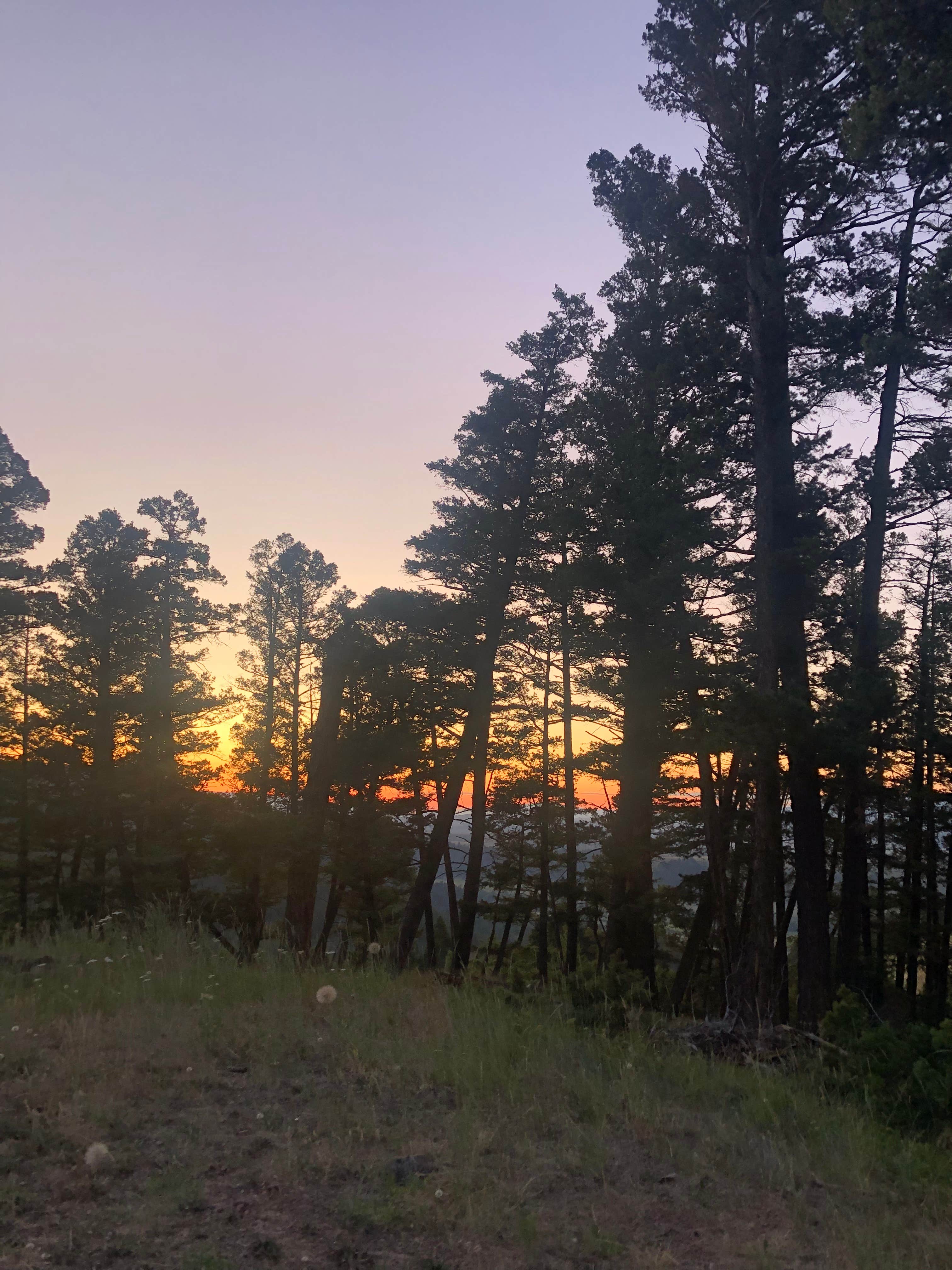 Camper submitted image from Elliston Dispersed Camping on Forest Road 314 - 1